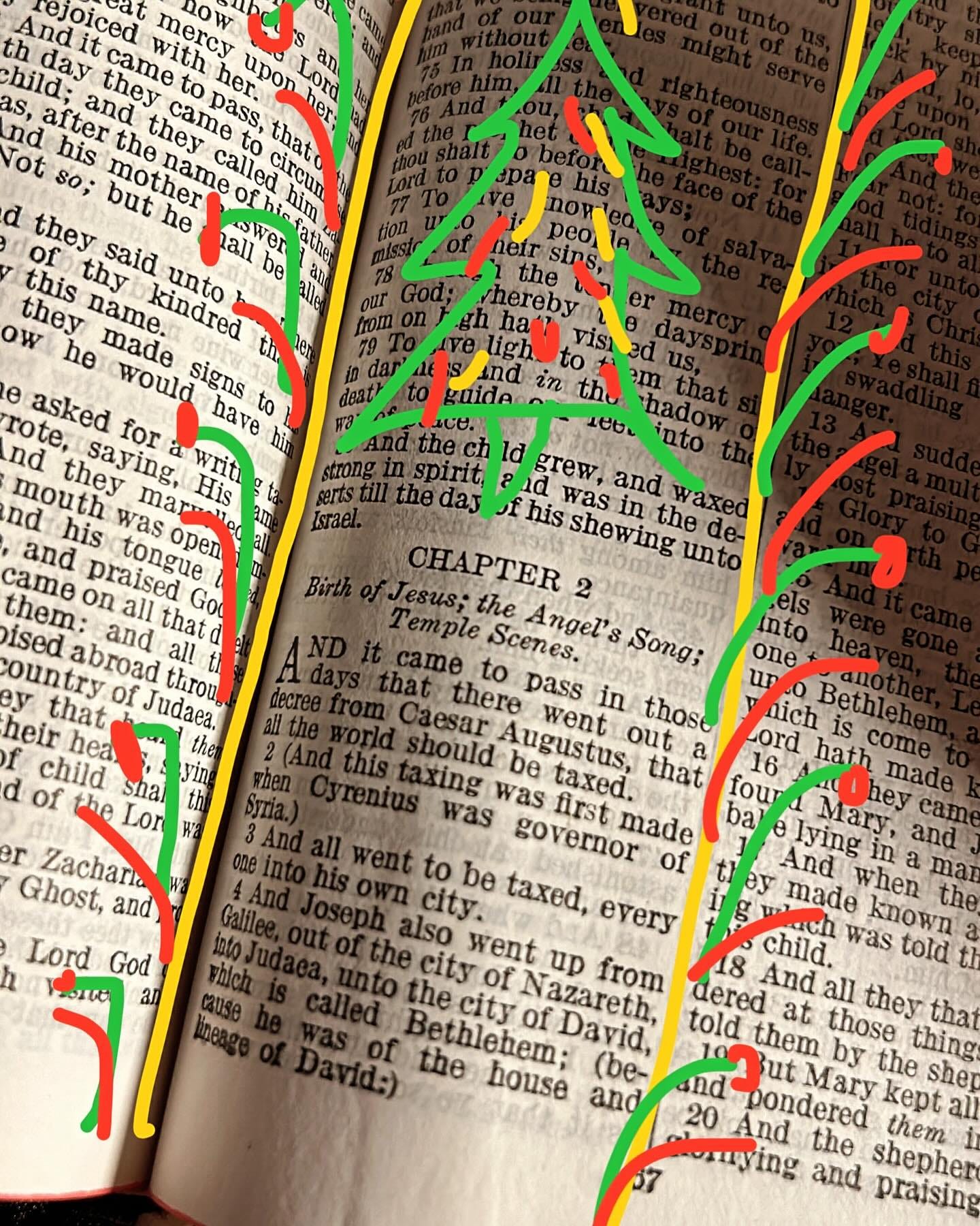 May be an image of christmas tree and text
