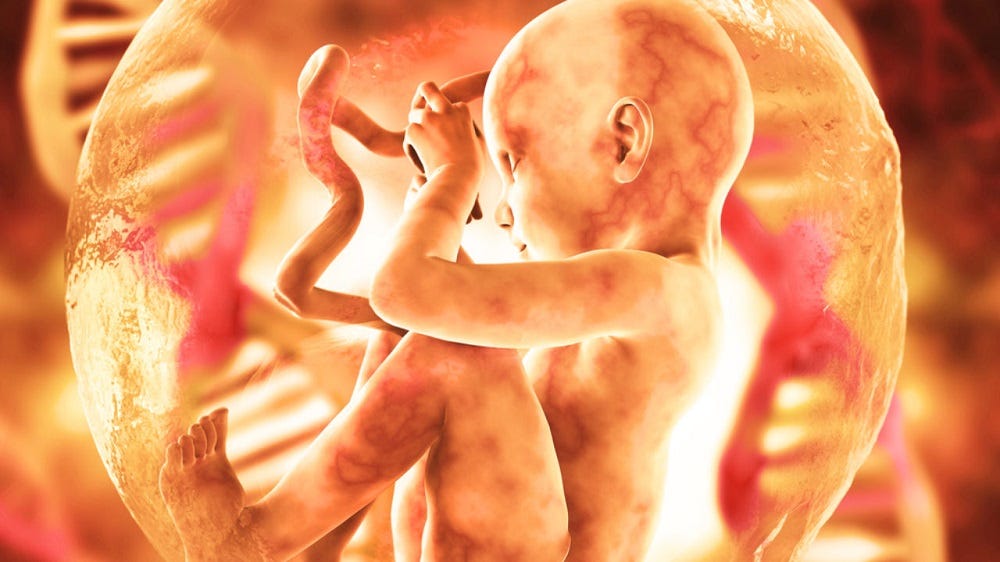 Σοκαριστικά στοιχεία για την προέλευση των εμβρυϊκών κυτταρικών σειρών και τη σχέση τους με τα εμβόλια! | Ενωμένη Ρωμηοσύνη Σοκαριστικά στοιχεία για την προέλευση των εμβρυϊκών κυτταρικών σειρών και τη σχέση τους με τα εμβόλια! | Ενωμένη Ρωμηοσύνη