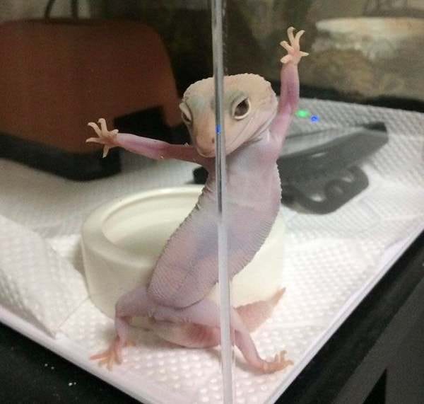 Saturday Mood - Credit: Reddit/u/carmenfillol Saturday Mood - Credit: Reddit/u/carmenfillol