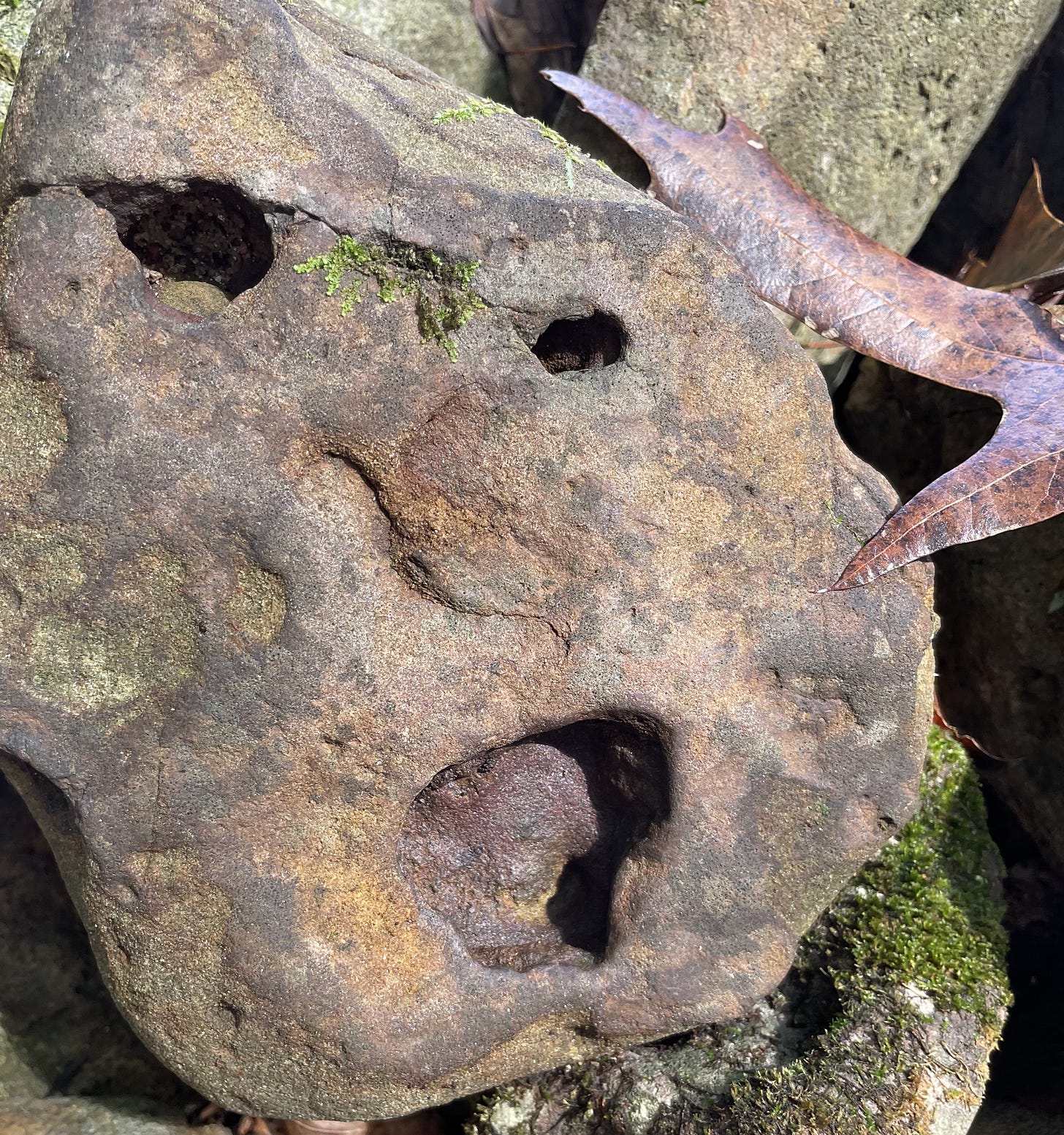 limestone rock with naturally occurring weathering that results in a face appearing in the rock. The face does not look restful.