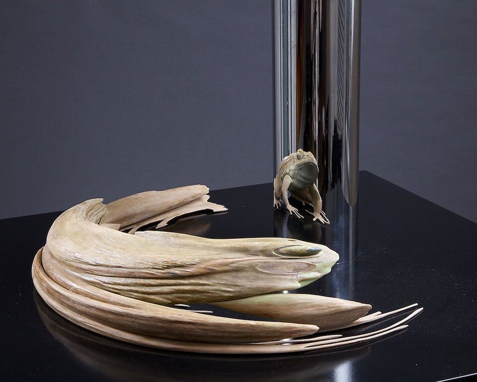 File:Anamorphic frog sculpture by Jonty Hurwitz.jpeg