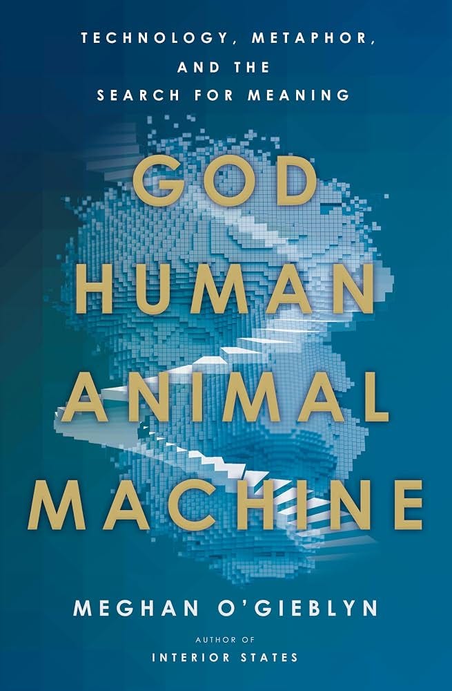 Amazon.com: God, Human, Animal, Machine: Technology ...