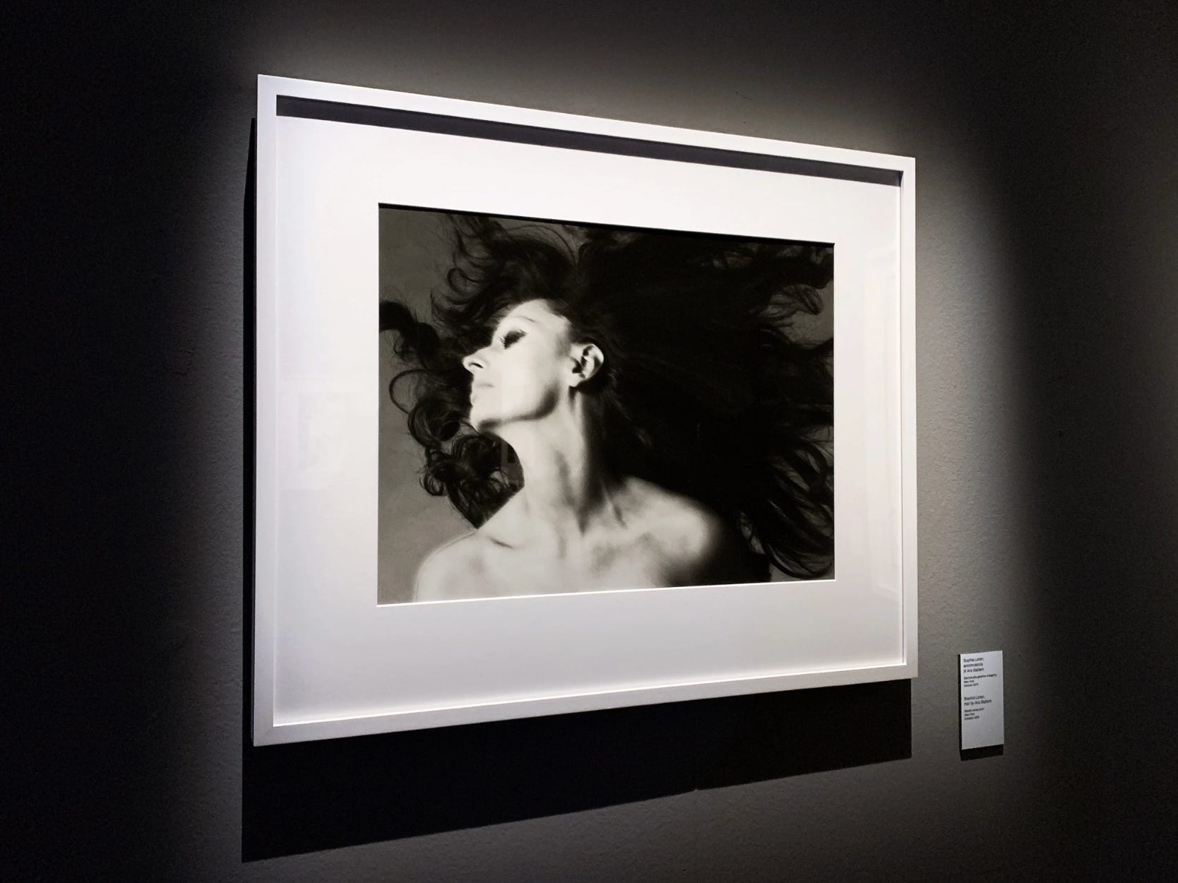Throwback Thursday: “Richard Avedon: Relationships” At Palazzo