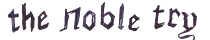 The Noble Try 