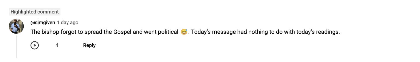 YouTube comment by @simgiven on Bishop Barron’s Sept. 6 homily