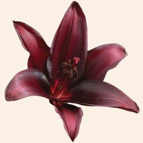 thoughts of a cancerous mind