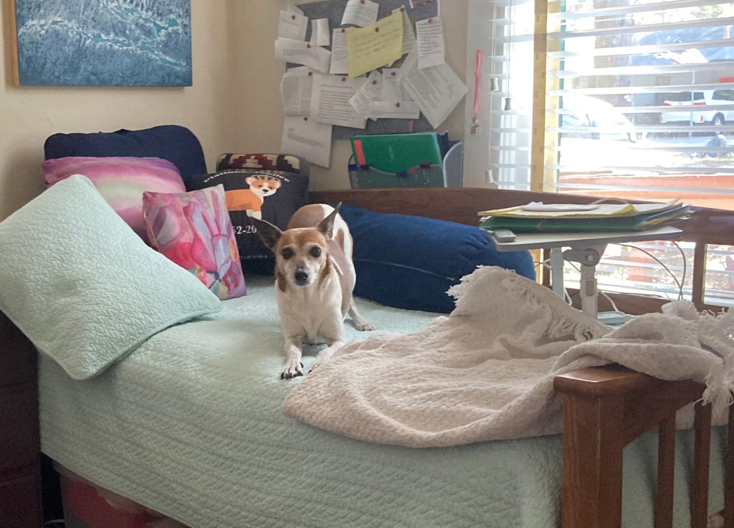 A day bed in a sunny room with a terrier on it and a lapdesk with writing materials and many pillows. 