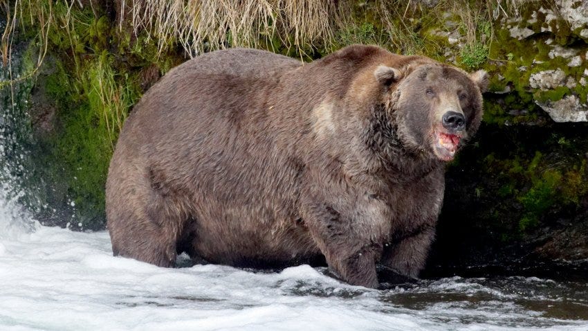 Mashhur jinsiy porno Rozalin Sanches