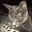 Rubalcator's avatar