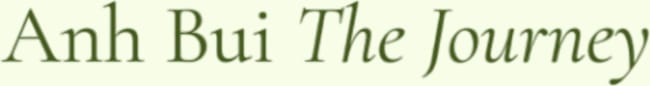 Anh Bui The Journey