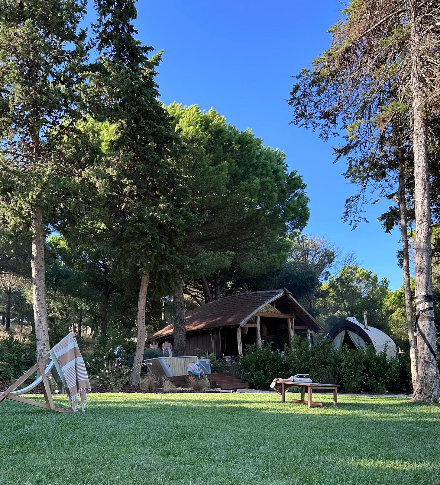 Wooden steam pavilion and dome-shaped tent among pine trees on a lawn at ATMOS Steam Center at DOMA in Mafra, Portugal Wooden steam pavilion and dome-shaped tent among pine trees on a lawn at ATMOS Steam Center at DOMA in Mafra, Portugal