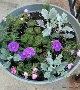 2-2015-05-21 07.41.04