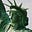 OneDoneMom's avatar