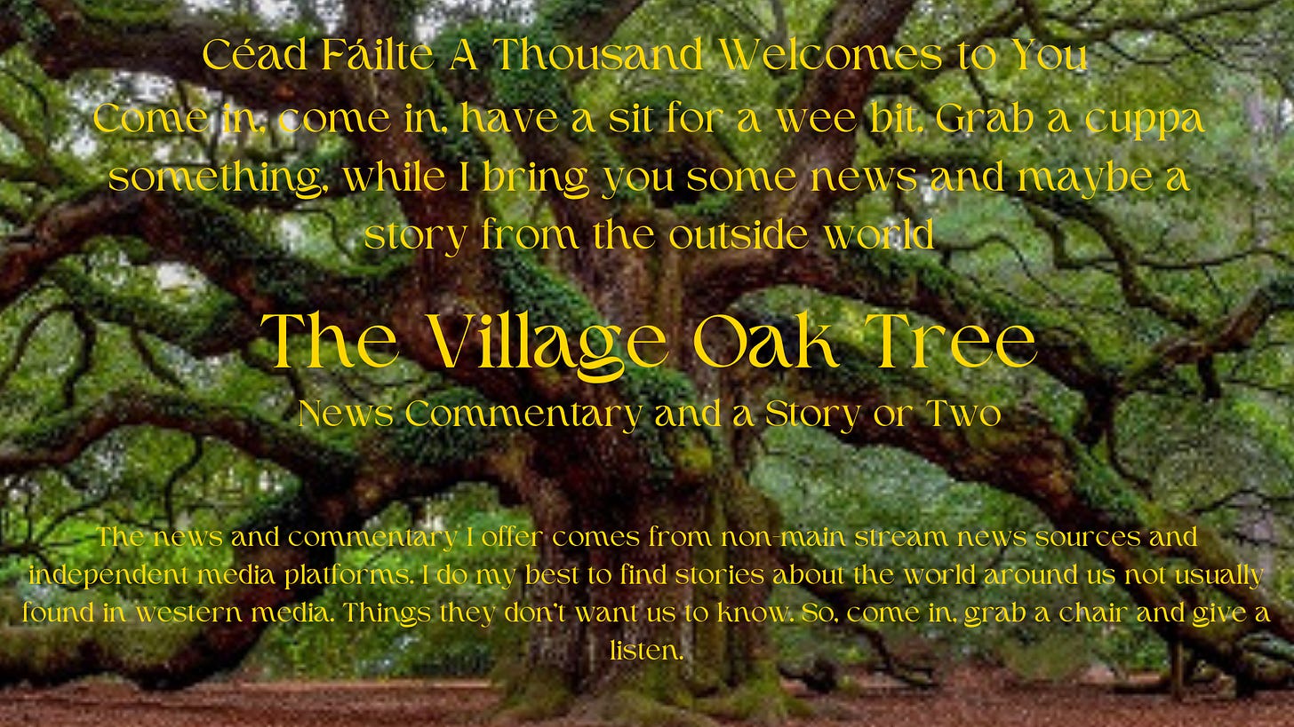 Ancient oak tree background with The Village Oak Tree title and a welcome in Irish and English
