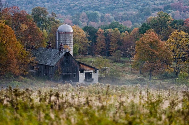 Dilapidated barn and silo set among a forest with fall foliage
