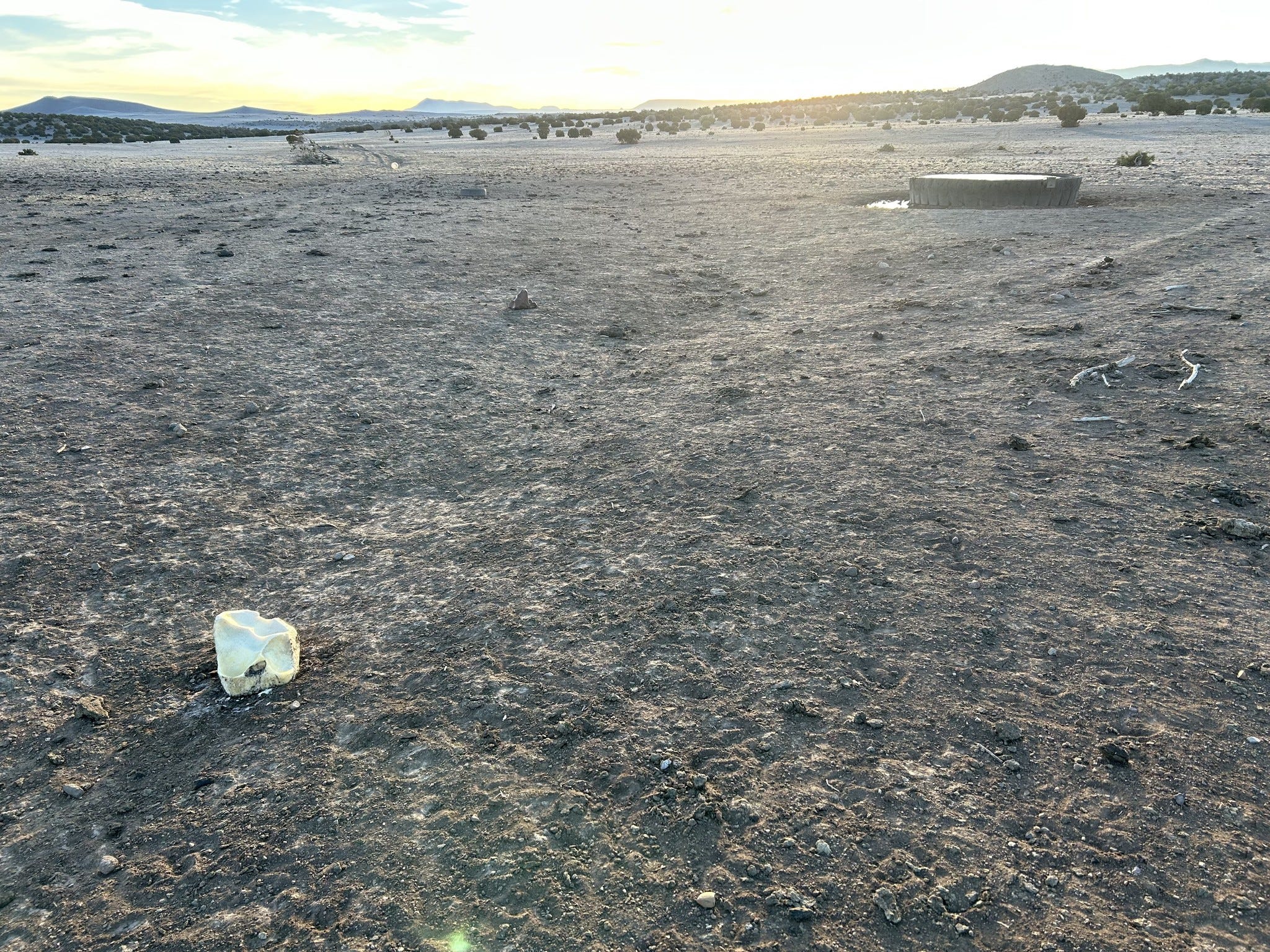 The Second Coming of the Dust Bowl