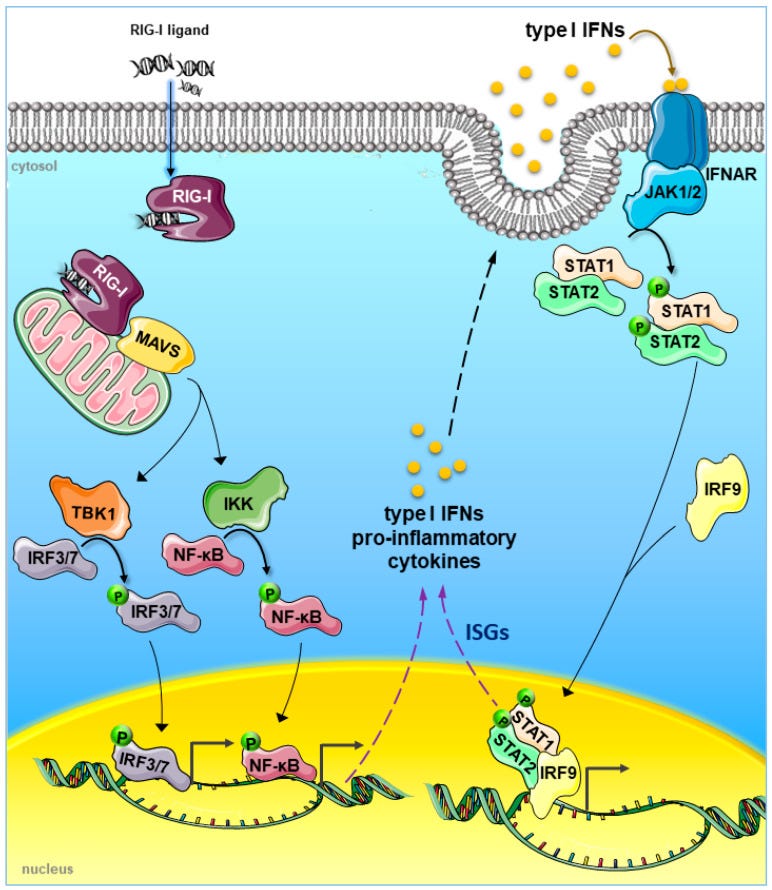An external file that holds a picture, illustration, etc.
Object name is cancers-12-03158-g001.jpg An external file that holds a picture, illustration, etc.
Object name is cancers-12-03158-g001.jpg