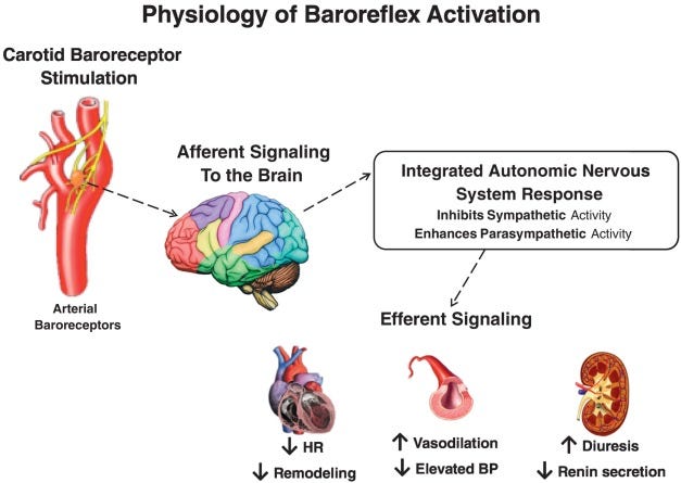 First granted example of novel FDA trial design under Expedited Access  Pathway for premarket approval: BeAT-HF - ScienceDirect