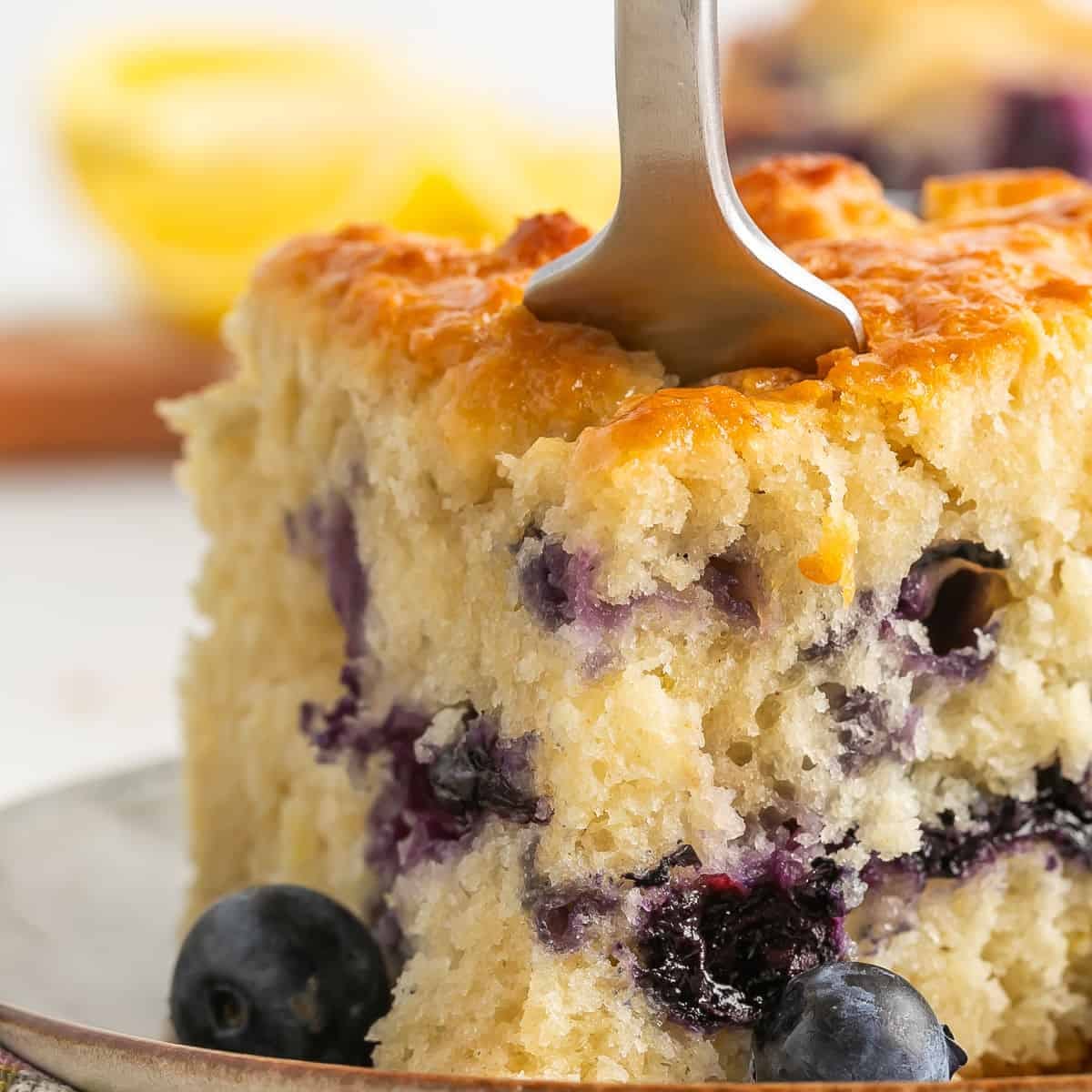 A close-up of a moist slice of blueberry lemon cake on a plate, with a fork inserted into the fluffy top and fresh blueberries scattered around. A blurred lemon is visible in the background. A close-up of a moist slice of blueberry lemon cake on a plate, with a fork inserted into the fluffy top and fresh blueberries scattered around. A blurred lemon is visible in the background.
