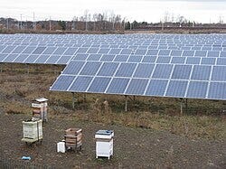 File:Solar powered bees^ - geograph.org.uk - 5256286.jpg