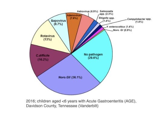In some populations, here in children under the age of 6 in Tennessee with acute gastroenteritis in 2016, 10 years after the introduction of the Rotavirus vaccine, Noroviruses actually are of greater significance than Rotavirus. In some populations, here in children under the age of 6 in Tennessee with acute gastroenteritis in 2016, 10 years after the introduction of the Rotavirus vaccine, Noroviruses actually are of greater significance than Rotavirus.