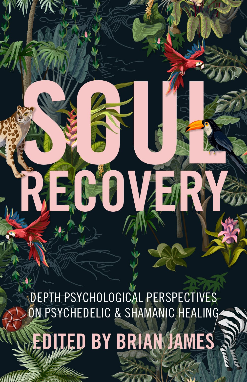 Cover of Soul Recovery book