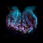 Held in Motion's avatar