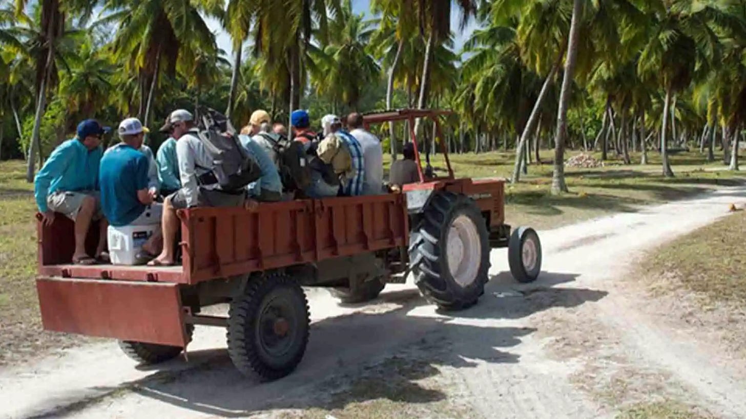 From Farquhar Airport, you'll take a 15-minute tractor ride (true island style) to the Maya Dugong, the 135-foot liveaboard vessel, and your home base for your week at Providence Atoll.