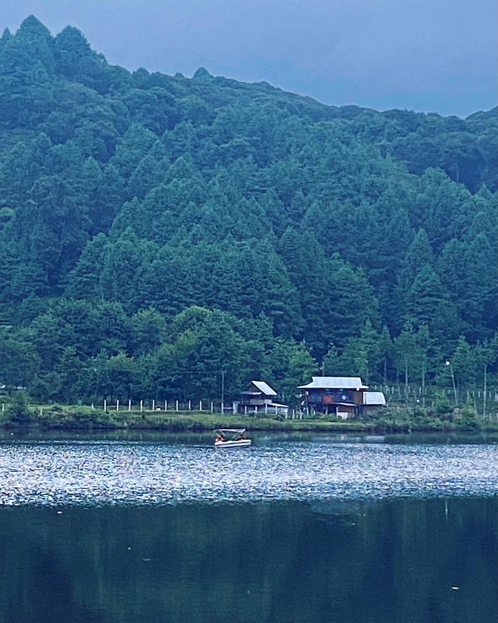 Images of lakes and paddy fields from Arunachal