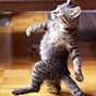 DemoCat's avatar