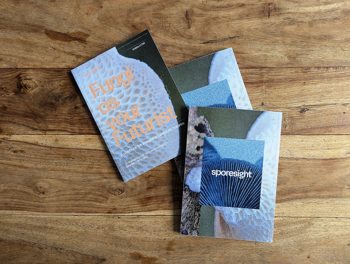 Fungi As Your Futurist: A playbook for imagining symbiotic futures, a small format square bound zine photographed on wooden surface published by Sporesight Fungi As Your Futurist: A playbook for imagining symbiotic futures, a small format square bound zine photographed on wooden surface published by Sporesight