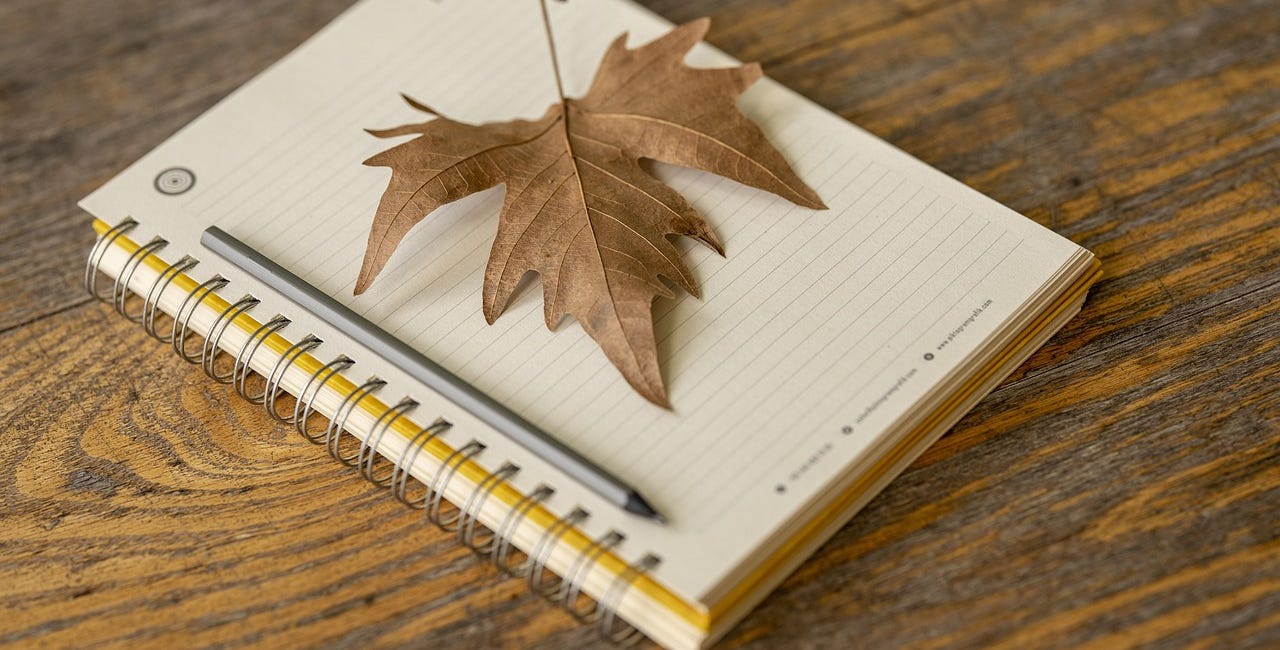 The Practicing Writer 2.0: November 2025