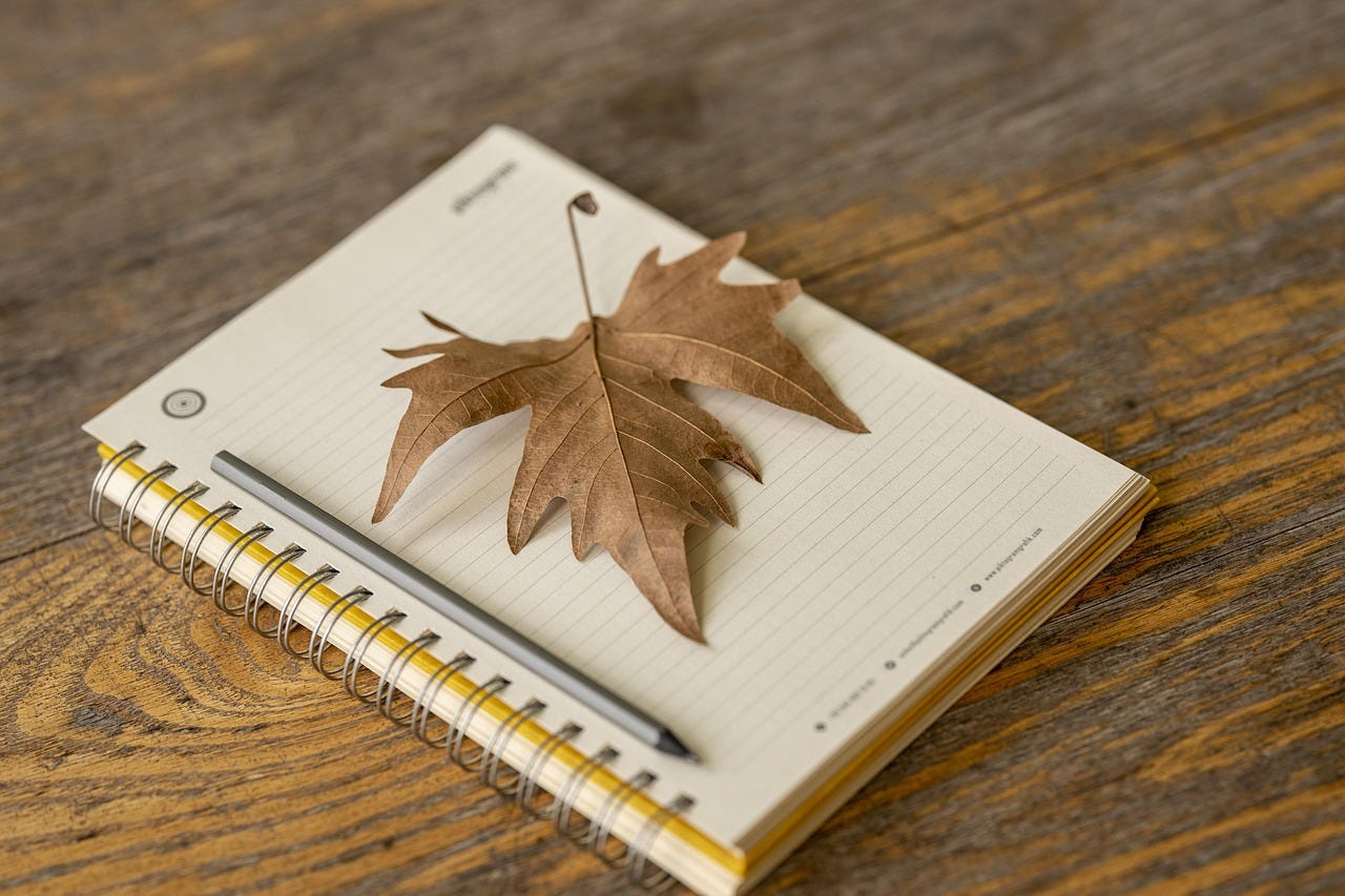 notebook, pen, and autumn leaf