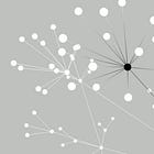 Not Thousands of Connections, But Progress
