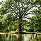 Living Landscapes
