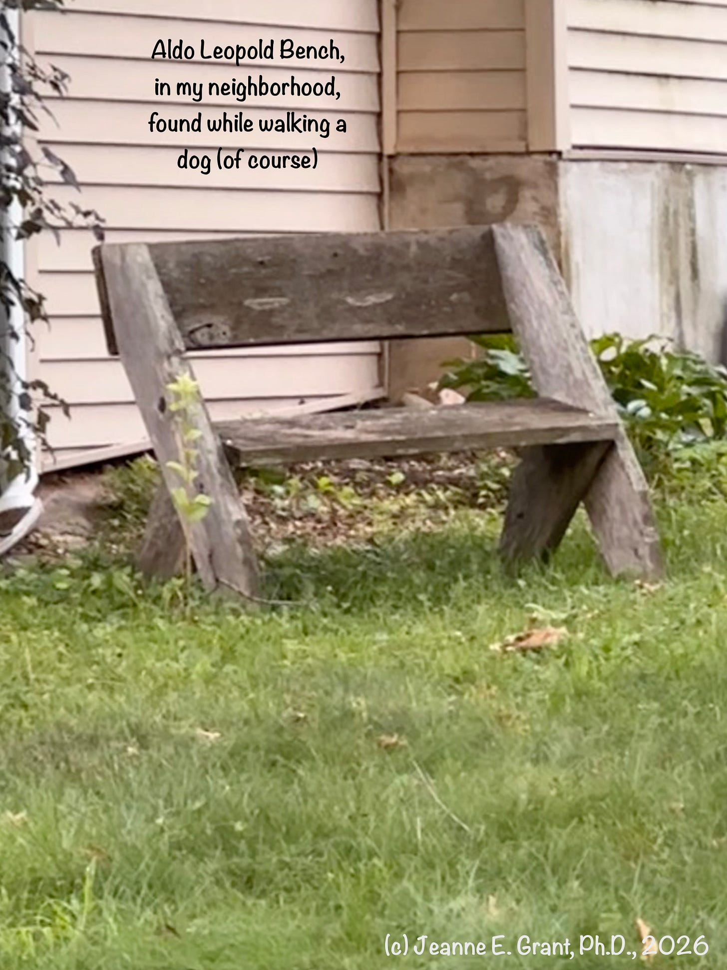 An old Aldo Leopold bench sitting quietly on grass in front of a beige house.