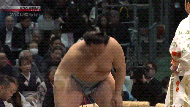 Sumo Stomp! | Tim Edwards | Substack