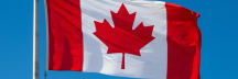 Canadian Pulse