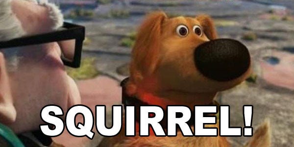 De-Squirrel Mode: Removing the Unnecessary Distractions from Your Life