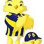 Sait TAŞ's avatar
