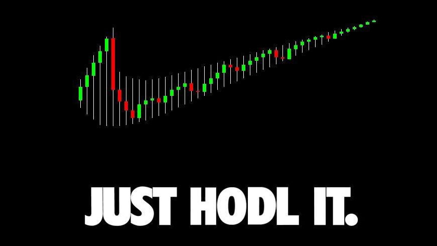 Hodl | Know Your Meme