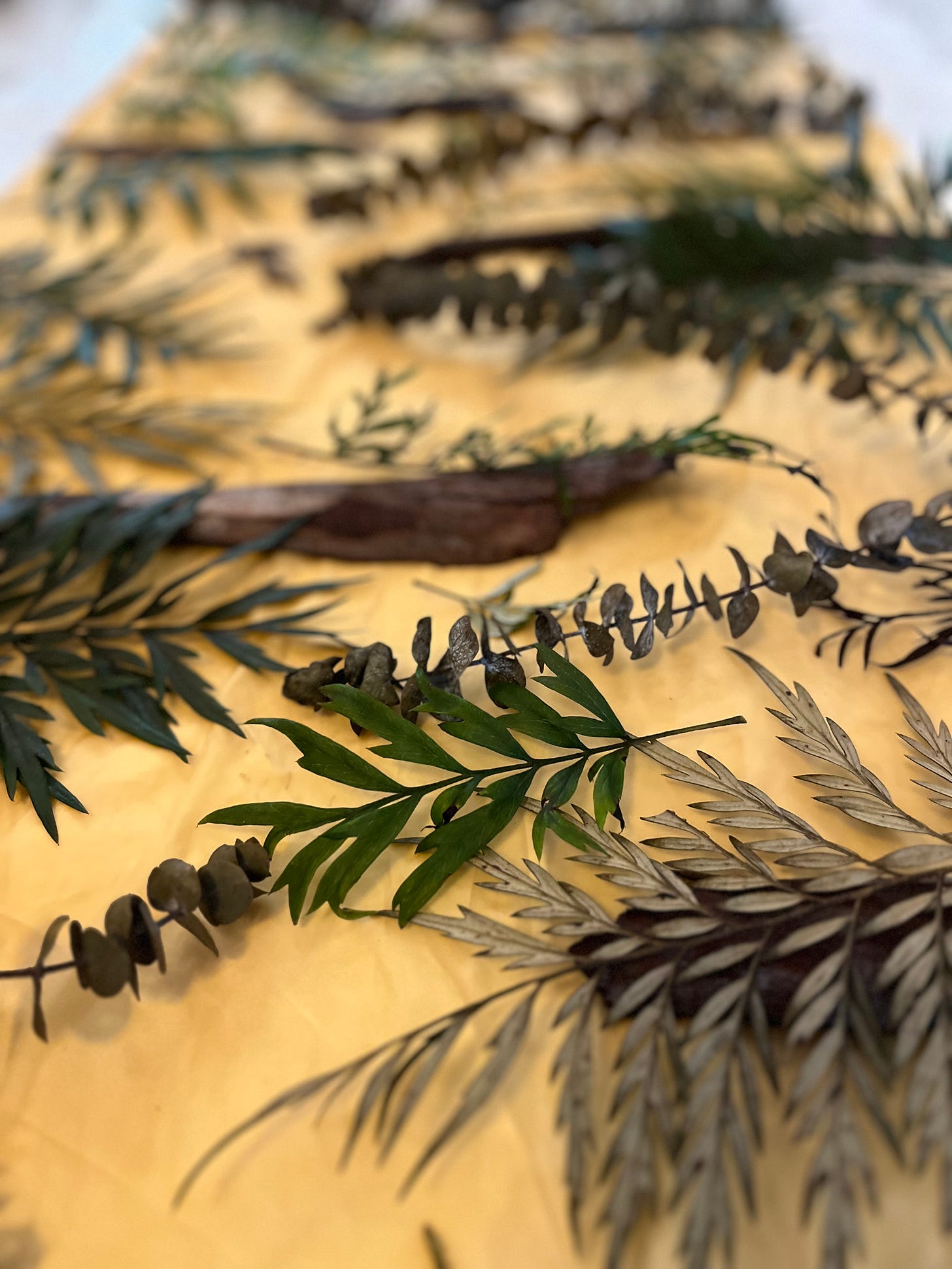 Fresh leaves and stems arranged on a work surface before eco-printing.
