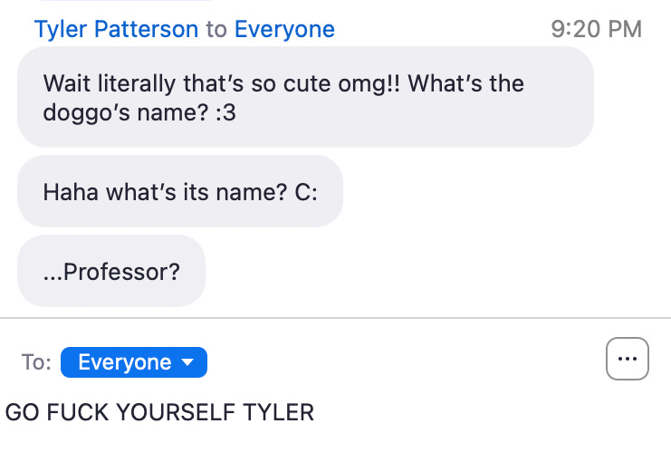 annoying zoom chat