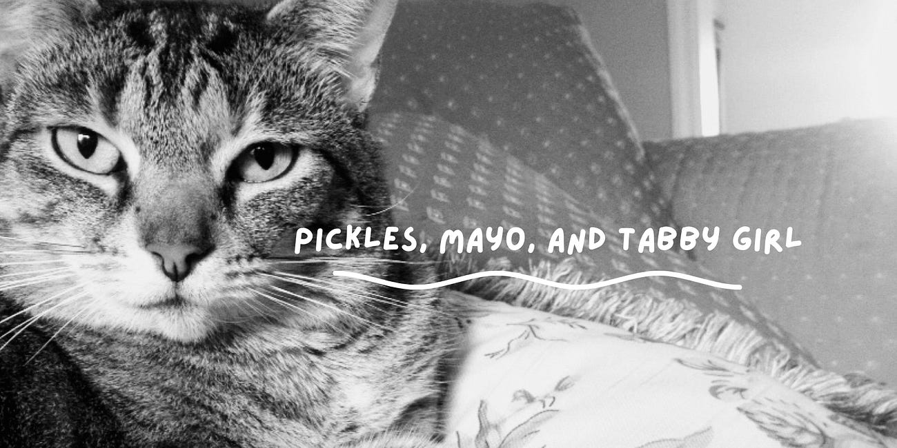 Pickles, Mayo, and Tabby Girl