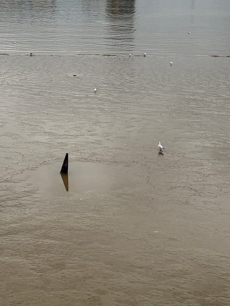 Machinery and industrial detritus emerging from sludge