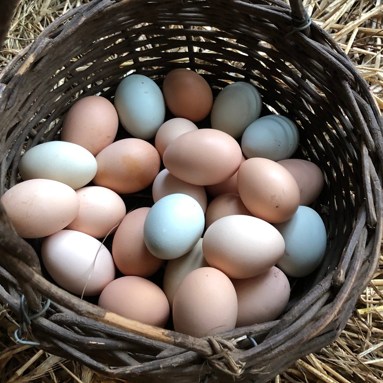 What’s Cooking with Carlin Breinig