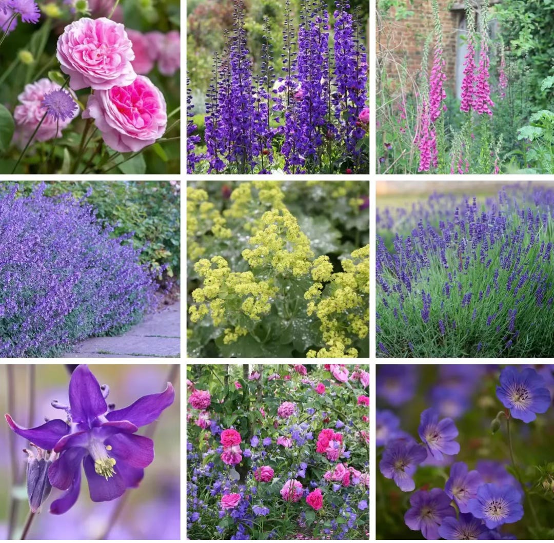 Shade garden planting with layered greenery and soft-toned flowers creating a calm atmosphere Shade garden planting with layered greenery and soft-toned flowers creating a calm atmosphere