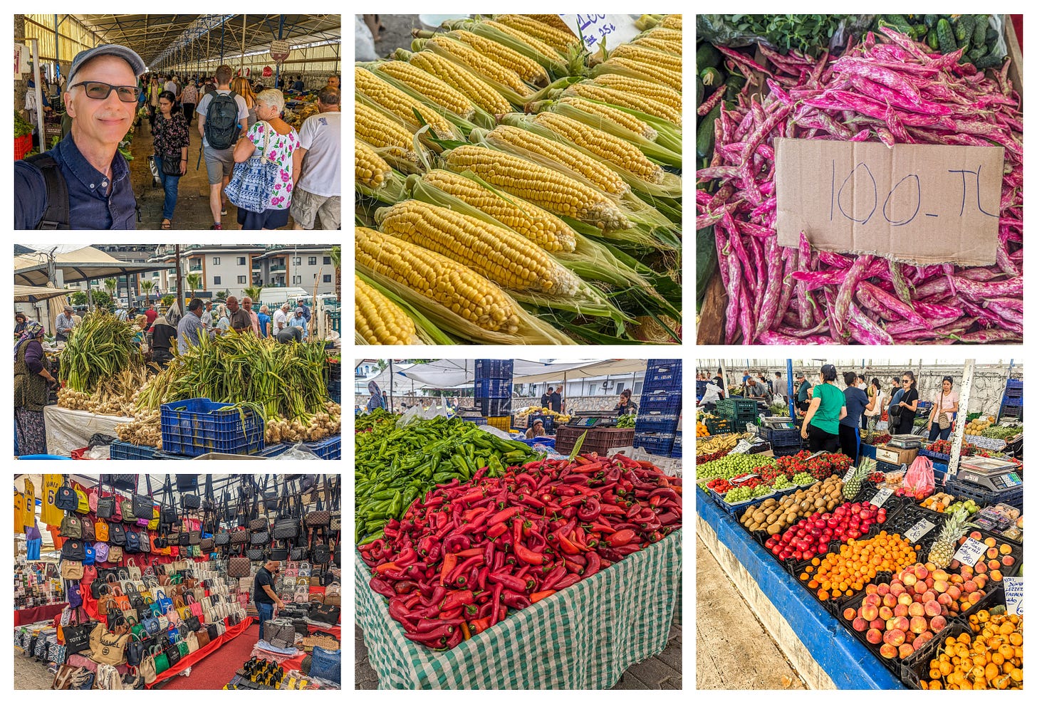 Collage showing piles of fresh corn, red peppers, purple beans, piles of garlic, and more. 