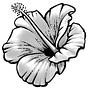 Sarah Burchard's avatar