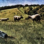 Get Reel with Richard Walter